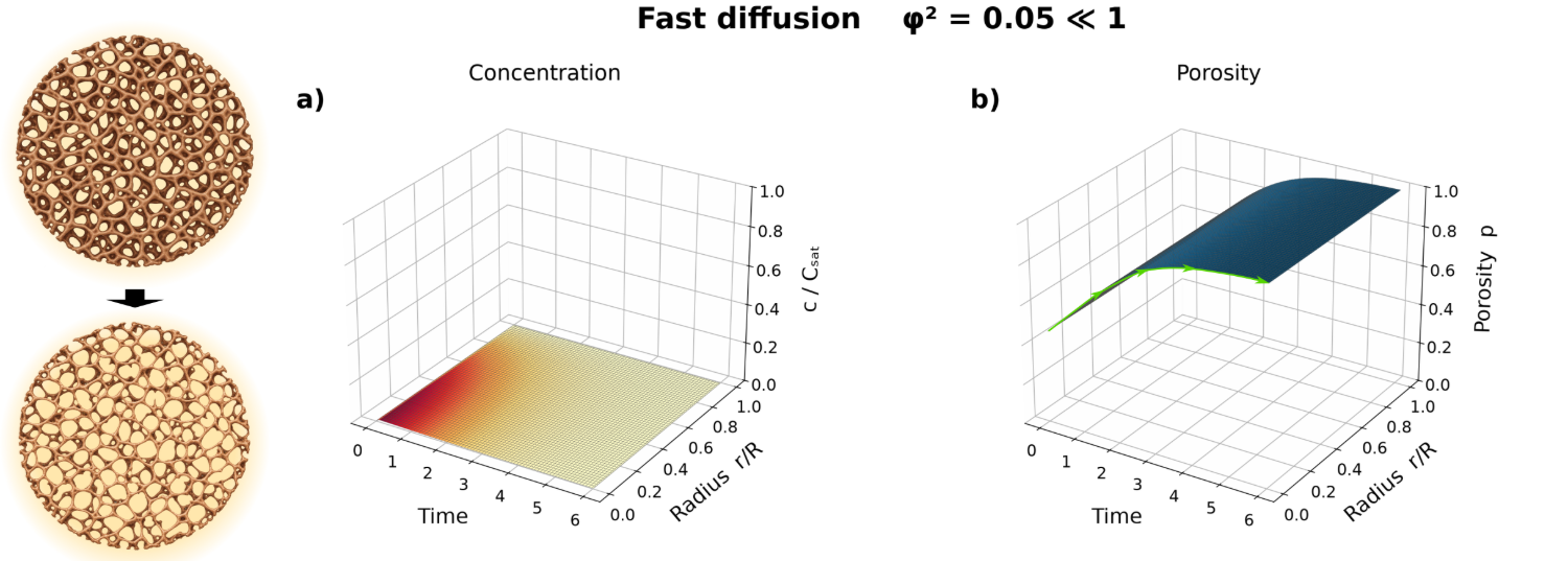 Numerical solution in the fast-diffusion limit